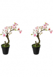 Creativ green Dirbtinė gėlė &raquo;Mandelbonsai im Topf&laquo;