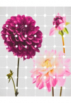 Komar Tapetai &raquo;Digitaldruck Vlies - Flowers & Dots - Gr&ouml;&szlig;e 200 x 250 cm&laquo; ra&scaron;tuotas glatt Wohnzimmer miegamojo kambario baldai