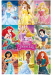 Reinders! Plakatas &raquo;Disney`s Prinzessinnen Kollage&laquo; 1 Stk. dalys