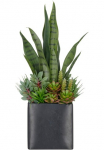 Creativ green Dirbtinis augalas &raquo;Arrangement i&scaron; Sukkulenten&laquo; su padėties Sukkulenten