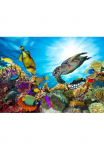 Papermoon Fototapetas &raquo;Coral Reef Fiji&laquo; glatt