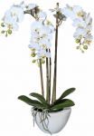 Dirbtinis augalas Mini Dirbtinė orchidėja Creativ green auk&scaron;tis 51 cm