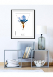 queence Paveikslas &raquo;Iris&laquo; Pflanzen | Pflanzenbilder | Dekoracija 1 Stk. dalys HD Premium Poster-Druck ir Holzrahmen