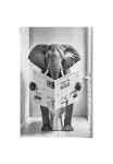 Reinders! Plakatas &raquo;Elefant ant der Toilette&laquo; Toilette - Schwarz-Wei&szlig; - 150 gr. Papier - Tiere - 61x915 cm