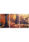 queence Paveikslas &raquo;Herbstwald 3-teilig&laquo; medis | Baumbilder | B&auml;ume | Sonnenaufgang & -untergang | Spa | Spa paveikslas/nuotrauka | Wald | Waldbilder 1 Stk. dalys Fine Art-Print in Galeriequalit&auml;t