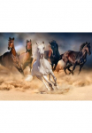 Papermoon Fototapetas &raquo;Horse Herd in Gallop&laquo; glatt