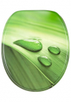 Sanilo WC-dangtis &raquo;Green Leaf&laquo; su Lėto nusileidimo funkcija