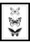 queence Paveikslas &raquo;Schmetterlinge&laquo; Insekten | Kunst | Schmetterlinge | Schwarz-Wei&szlig; | Tiere HD Premium Poster-Druck ir Holzrahmen