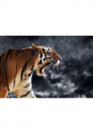 Papermoon Fototapetas &raquo;Br&uuml;llender wilder Tiger&laquo;