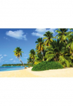 Papermoon Fototapetas &raquo;Exotic Palm Beach&laquo; glatt