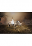 Papermoon Fototapetas &raquo;Surreales M&auml;dchen das Nashorn reitet&laquo;