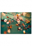 Artland Paveikslas &raquo;Japanische Kirsch Sakura Blumen&laquo; gėlės 1 Stk. dalys kaip Paveikslas ant drobės Plakatas in verschied. dydžiai