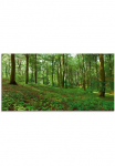 Artland Stiklinis paveikslas &raquo;Panorama von einem gr&uuml;nen Sommerwald&laquo; Wald 1 Stk. dalys in padėties dydžiai