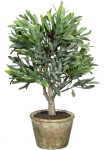 Creativ green Dirbtinis augalas &raquo;Olive&laquo; su detailgetreuer Gestaltung