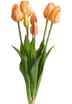 Botanic-Haus Dirbtinė gėlė &raquo;Tulpenb&uuml;ndel real Touch&laquo;