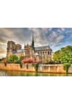Papermoon Fototapetas &raquo;Notre Dame de Paris&laquo;
