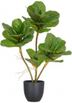 Creativ green Dirbtinis augalas &raquo;Ficus lyrata&laquo; su Luftwurzeln