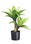 Creativ green Dirbtinis augalas &raquo;Agave&laquo; su 2 St&auml;mmen