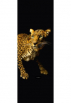 Architects Paper Fototapetas &raquo;Leopard&laquo; Tiger Tapetai Panel juoda spalva 100m x 280m