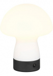REALITY Leuchten REALITY Ap&scaron;vietimas LED stalinis &scaron;viestuvas &raquo;DOOLEY Akumuliatorinis LED stalinė lepma i&scaron; I&scaron; stiklo auk&scaron;tis 18 cm &Oslash; 14cm IP20 15W LED&laquo; LED-Board 1 Stk. Warmwei&szlig; 140 Lumen 3000K warmwei&szlig; Touchdimmer USB-Ladeanschluss