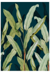 Art for the home Fototapetas &raquo;Tatum&laquo; botanisch glatt 280x200 cm