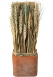Creativ home Trockenblume &raquo;Trockenblumen imTopf&laquo;