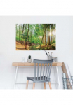 Reinders! Plakatas &raquo;Wald in der Sonne&laquo;