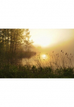 Papermoon Fototapetas &raquo;Stunning Foggy Landscape&laquo; glatt