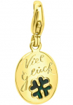 Firetti Pakabukas &raquo;Schmuck Dovanų Gold 375 pakabukas Charms Kleeblatt Gravur Viel Gl&uuml;ck&laquo; su Lack