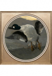 queence Paveikslas &raquo;Ente&laquo; Ente | Enten | Dekoracija | Kunst | Vogelbilder | V&ouml;gel Fine Art-Print in Galeriequalit&auml;t
