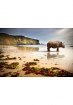 Papermoon Fototapetas &raquo;Strand Rino&laquo;