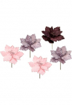 I.GE.A. Dirbtinė gėlė &raquo;Poinsettia&laquo; Dirbtinė gėlė Dekoblume 5er rinkinys
