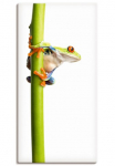 Artland Paveikslas ant drobės &raquo;Frosch umfasst einen Pflanzenstengel&laquo; Wassertiere 1 Stk. dalys ant Holzrahmen gespannt