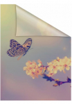 LICHTBLICK ORIGINAL Dekoratyvinė plėvelė langui &raquo;Schmetterling Bl&uuml;te&laquo; 1 Stk. blickdicht strukturiert Klebepunkte selbstklebend Sienelė