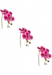 Creativ green Dirbtinė gėlė &raquo;Phalaenopsis 3D-print&laquo; su Real-Touch-Bl&uuml;ten