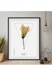 queence Paveikslas &raquo;Cucurbita&laquo; Pflanzen | Pflanzenbilder | Dekoracija 1 Stk. dalys HD Premium Poster-Druck ir Holzrahmen