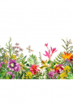 living walls Fototapetas &raquo;Flower Power Vlies&laquo; glatt fototapetas gėlės Tapetai Floral Wei&szlig; Bunt 350 m x 255 m Tapetai