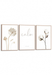Reinders! Plakatas &raquo;Trockene Blumen&laquo; Wohnzimmer - Klatschmohn - Allium - Beige - MDF - Pflanzen