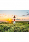 living walls Fototapetas &scaron;vyturys Sylt&laquo; Motiv | abstrakt | naturalistisch glatt D&uuml;nen Tapetai Strand fototapetas Wohnzimmer Tapeten Flur Design imitacija