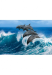 Papermoon Fototapetas &raquo;Playful Dolphins&laquo; glatt