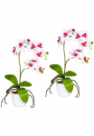 Creativ green Dirbtinis augalas &raquo;Orchidee Phalaenopsis&laquo; im Keramikinis indas
