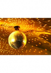 Papermoon Fototapetas &raquo;Goldener Discoball&laquo;