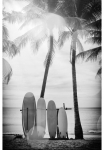 queence Paveikslas &raquo;Surfboards&laquo; Kunst | palmių motyvas | Schwarz-Wei&szlig; | Strand | Strandbilder Fine Art-Print in Galeriequalit&auml;t