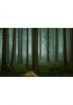 Papermoon Fototapetas &raquo;Photo-Art ELLEN BORGGREVE DIE KALTEN DUNKLEN TAGE DES WINTERS&laquo;