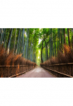 Papermoon Fototapetas &raquo;Bamboo Grove of Kyoto&laquo; glatt