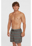 O'Neill Maudymosi glaudės &raquo; CALI FIRST 15'' SWIMSHORTS&laquo;