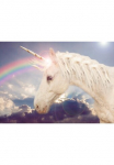 Papermoon Fototapetas &raquo;Unicorn Rainbow&laquo; glatt