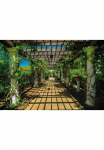 Papermoon Fototapetas &raquo;Garden Walkway&laquo; glatt