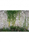 living walls Fototapetas &raquo;Designwalls Stone Wall&laquo; glatt Vlies Wand Schr&auml;ge Užklotas