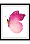 queence Paveikslas &raquo;Judy&laquo; Insekten | Kunst | Schmetterlinge 1 Stk. dalys HD Premium Poster-Druck ir Holzrahmen